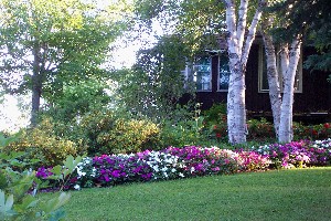 Impatiens at front of house...evening 2003